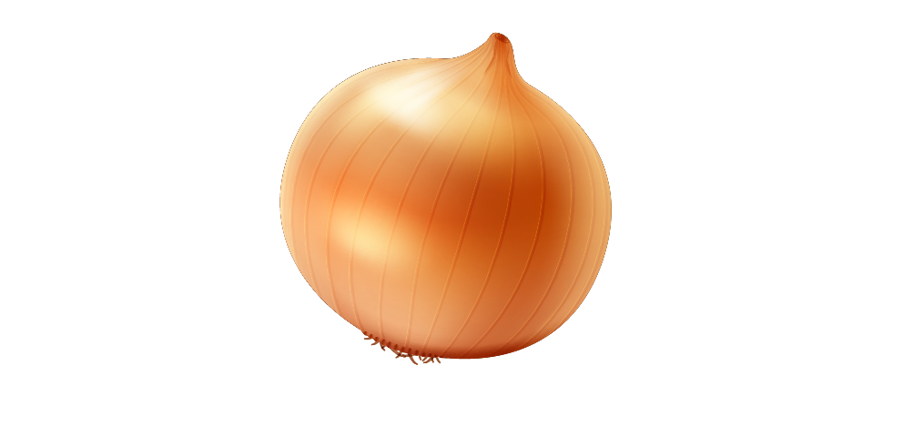 Single Onion Free PNG Image