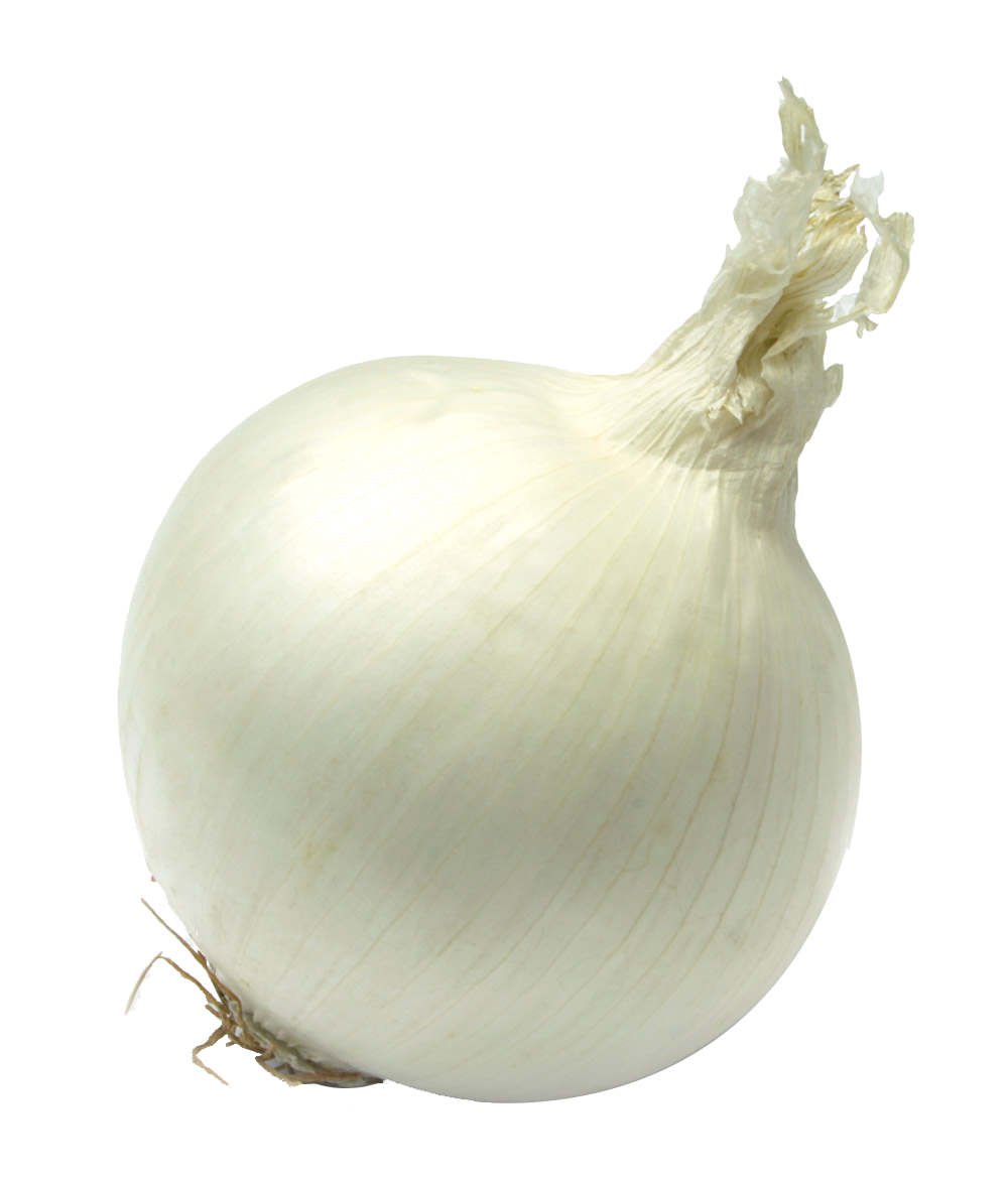 Single Onion PNG Free Download