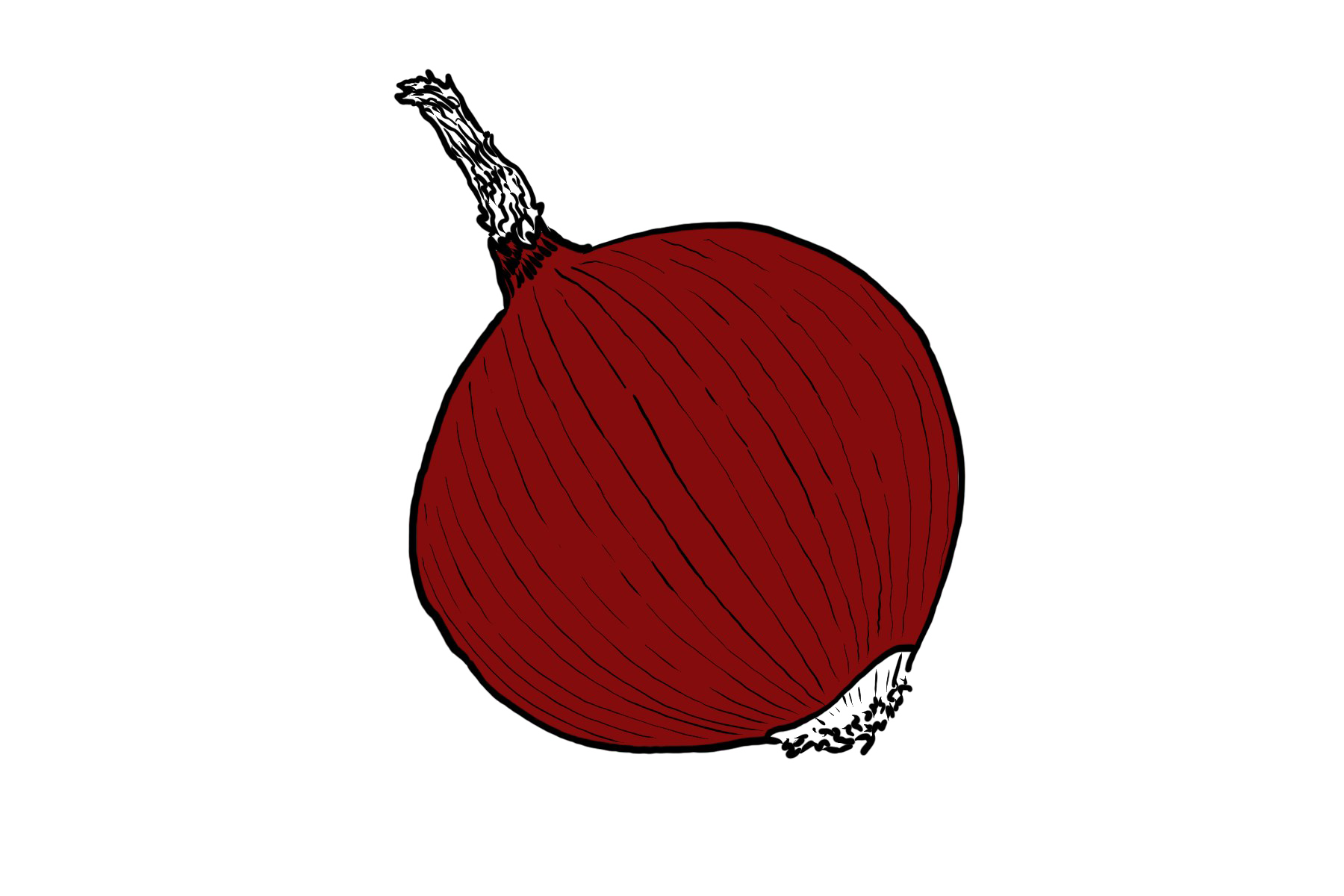 Single Onion PNG Image