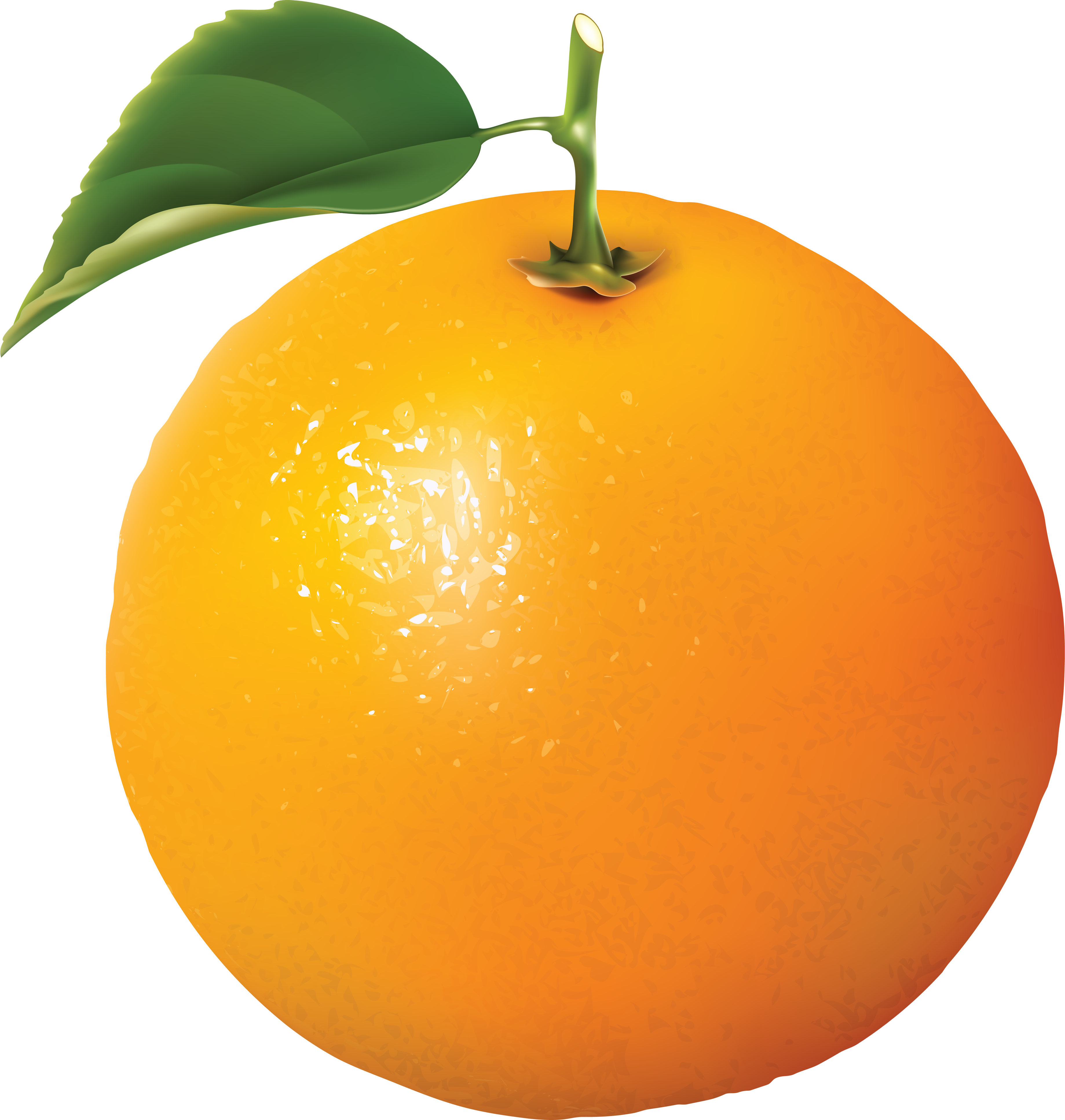 Single Orange PNG-Bild