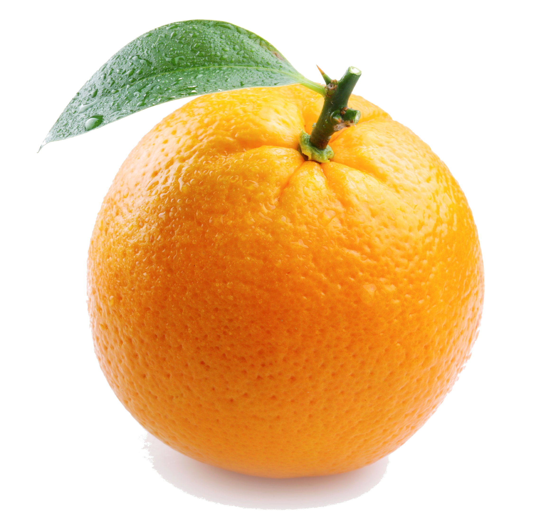 단일 오렌지 투명 이미지