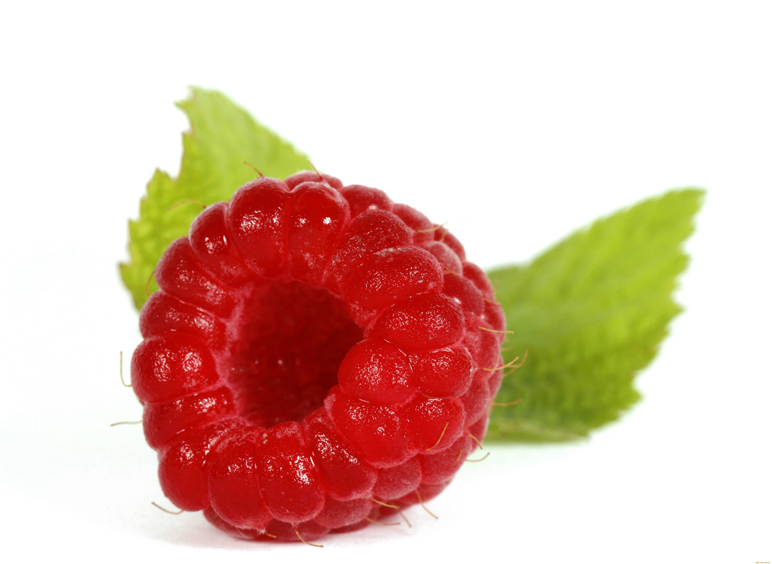 Single Raspberry PNG Image Background