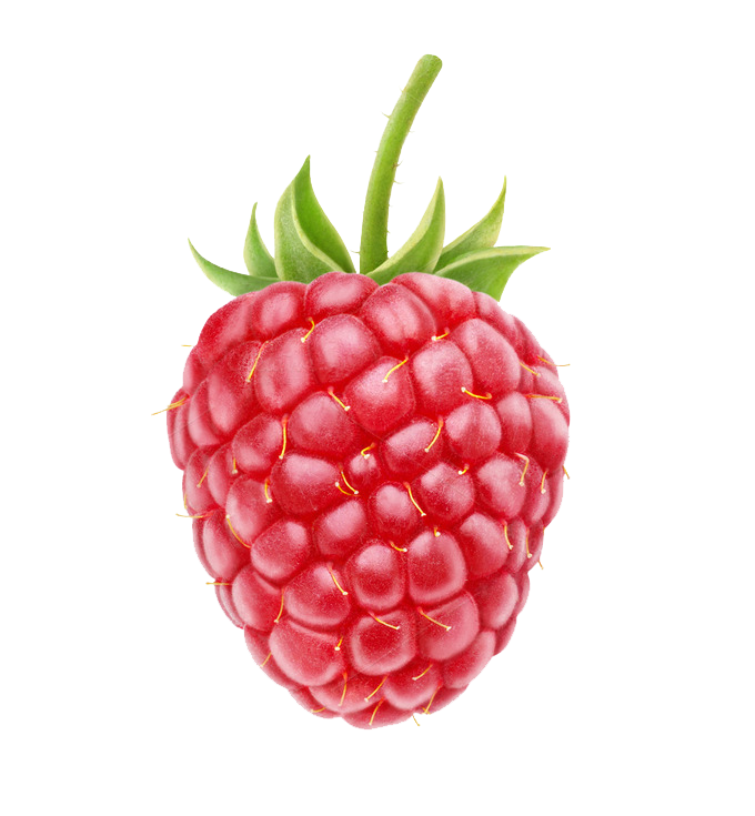 Single Raspberry PNG-Afbeelding