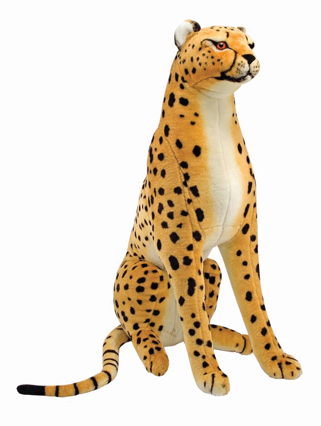 Sitting Cheetah PNG Image Background