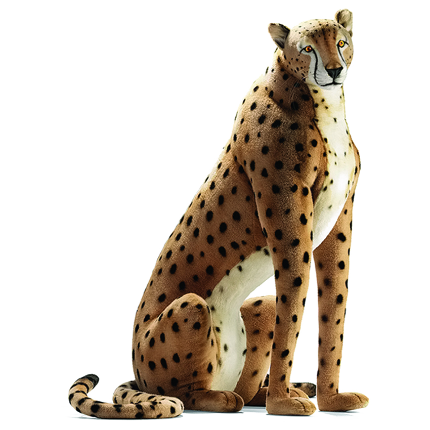 Zittend cheetah Transparant Beeld