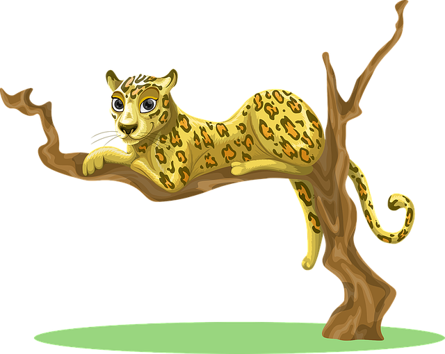 Sitting Leopard PNG Photo