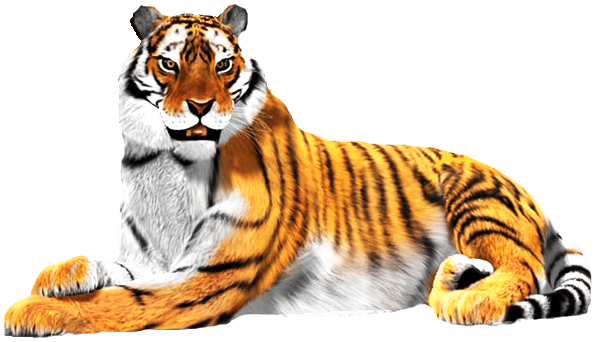 Sentado tigre PNG descargar imagen