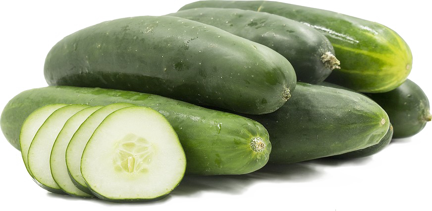 Sliced Cucumber Free PNG Image