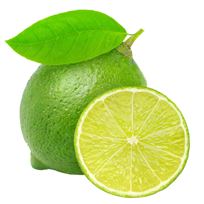 Sliced Lime PNG Free Download