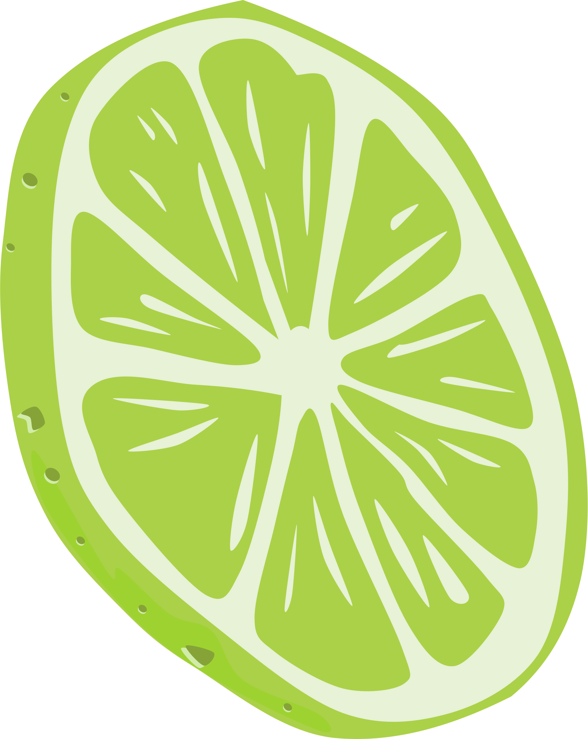 Sliced Lime Transparent Background PNG