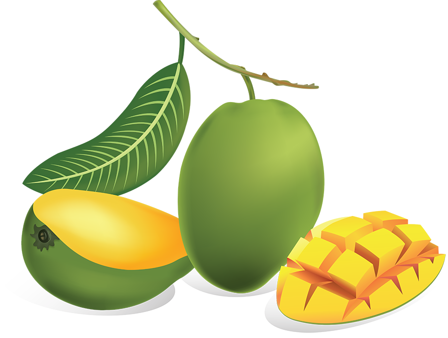 Sliced Mango PNG Picture