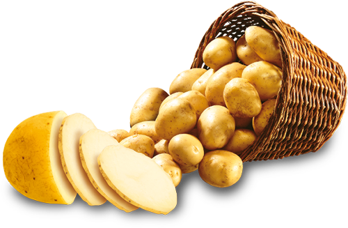 Нарезанный картофель PNG фото