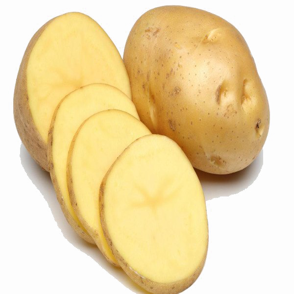 Sliced Potato PNG Transparent Image