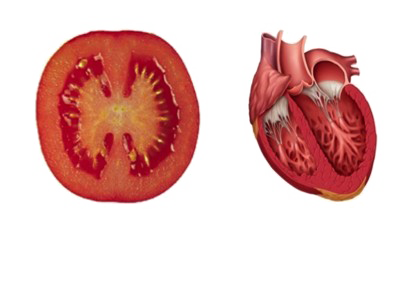 Geschnittener Tomaten-PNG-Bildhintergrund