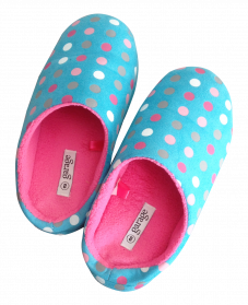 Slipper PNG Image with Transparent Background | PNG Arts