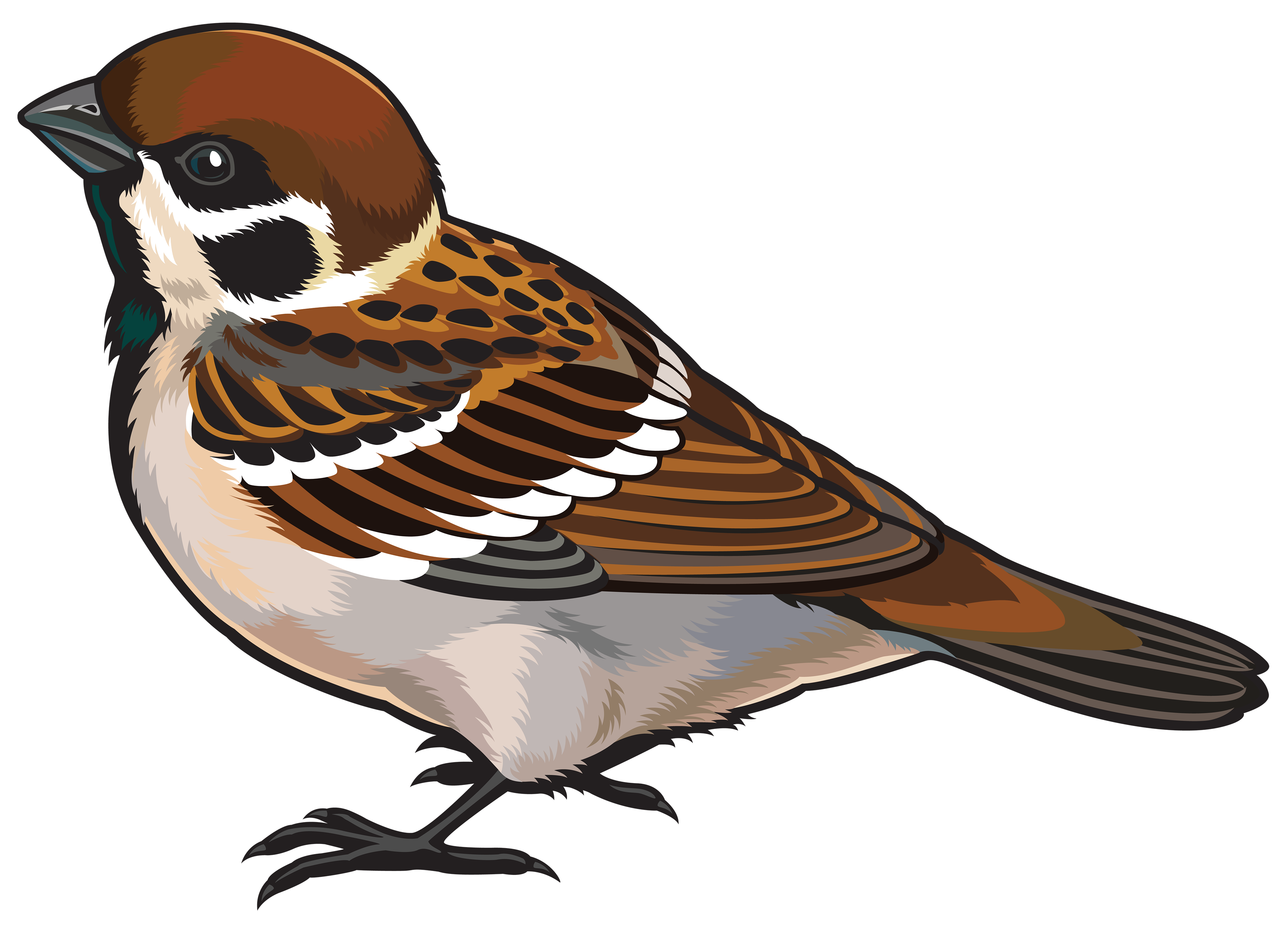 Sparrow Bird PNG descarga gratuita
