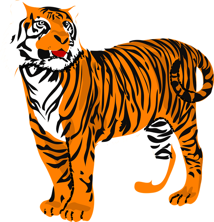 Standing Tiger PNG Kostenloser Download