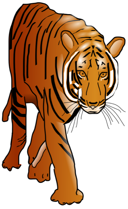 Imagem transparente de tigre em pé