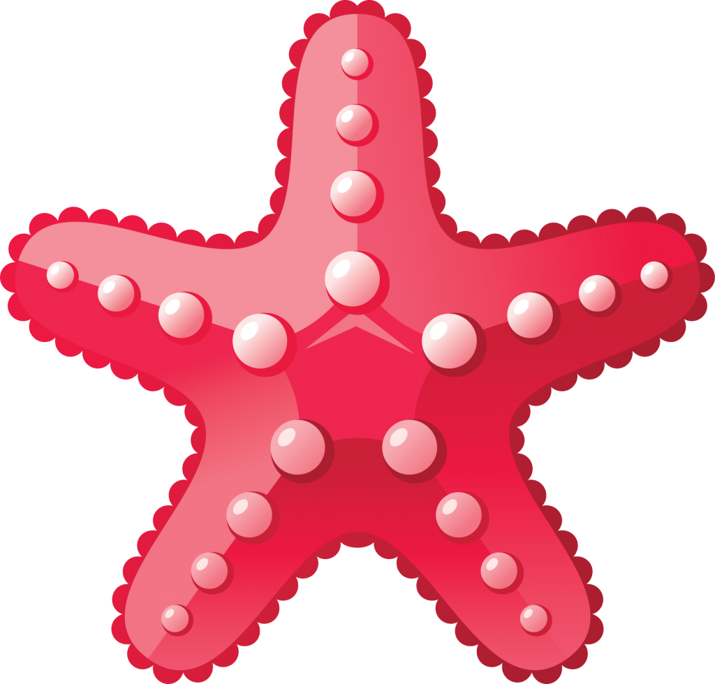 Starfish PNG Image Background