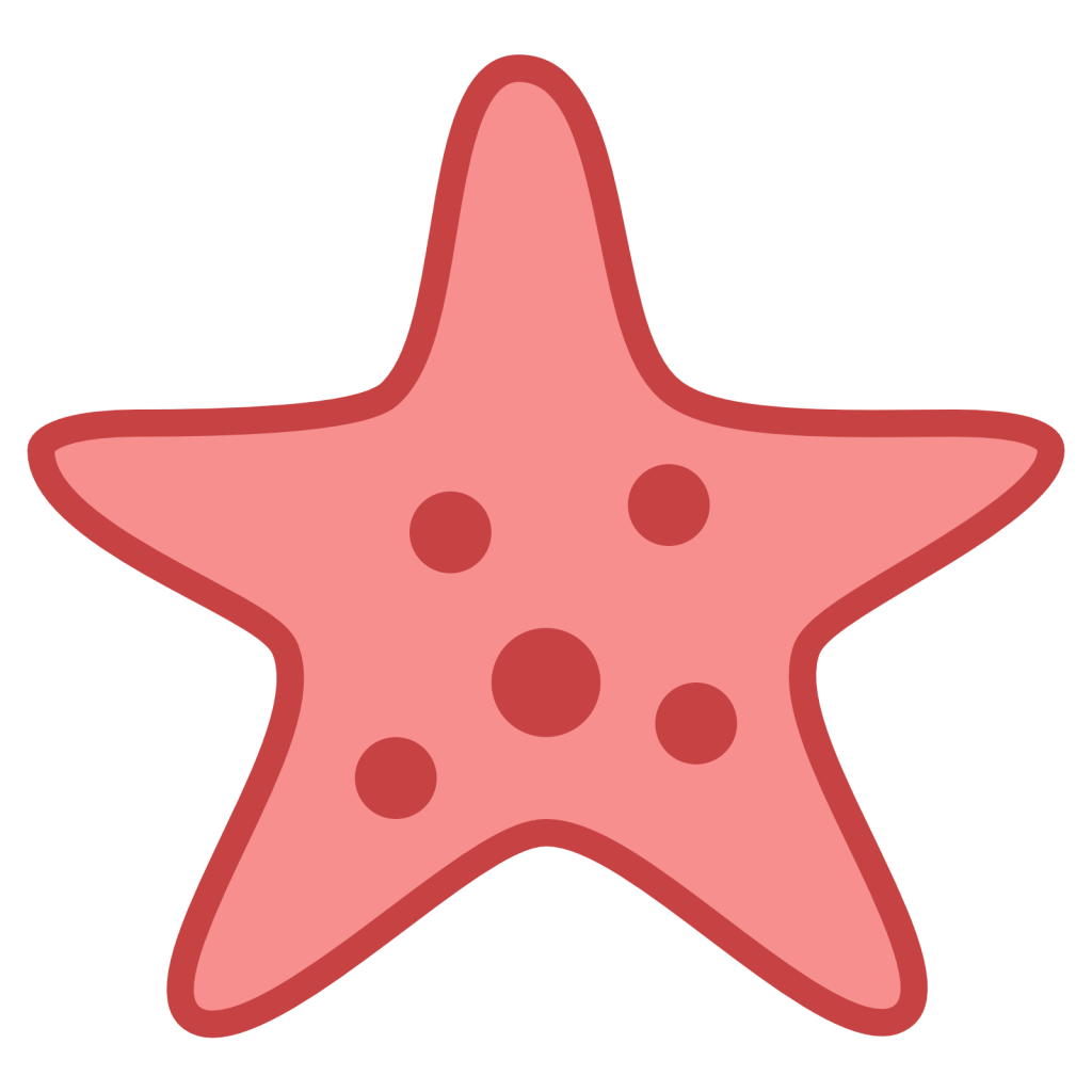 Starfish PNG Pic
