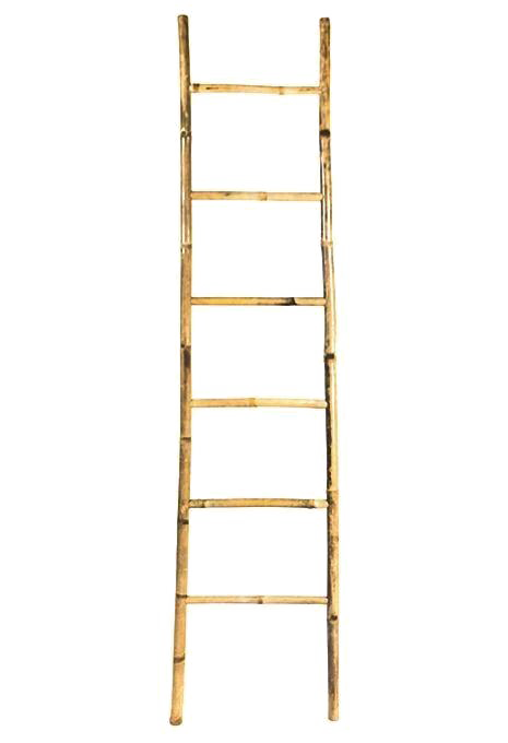 Step Ladder PNG Image with Transparent Background