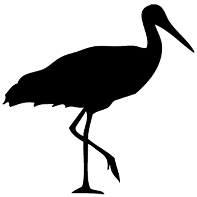 Stork PNG Image Background