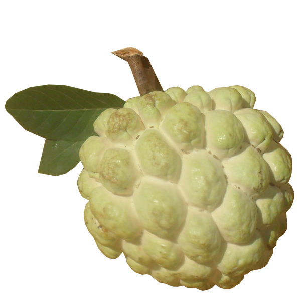 Sugar Apple PNG Picture