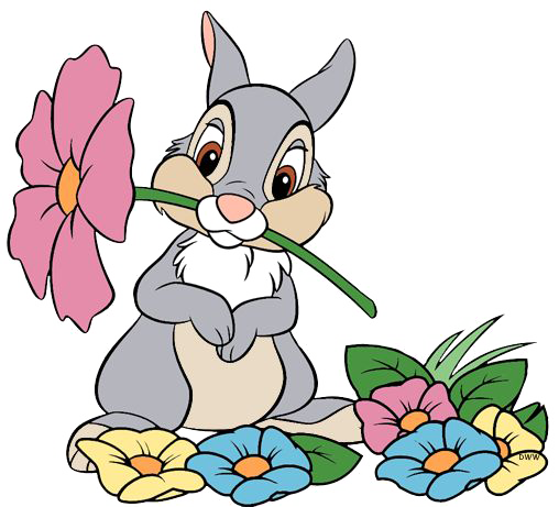 Thumper PNG Image