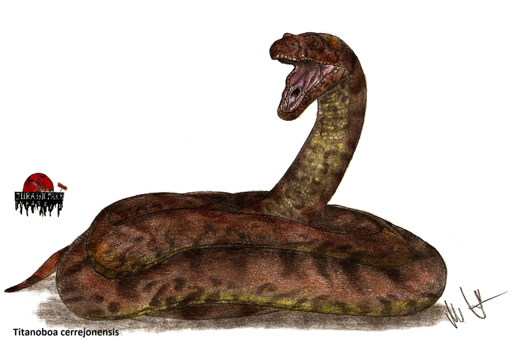Titanoboa Snake PNG Image Background