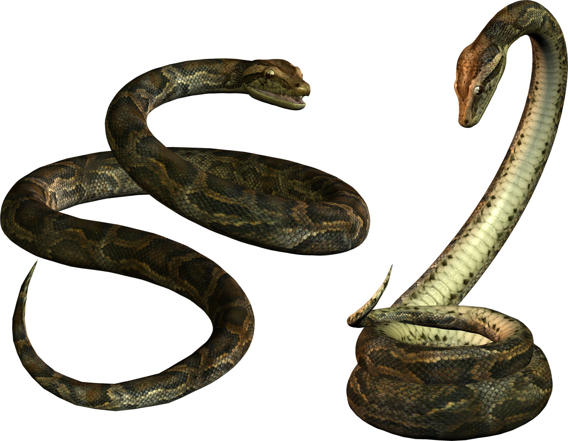 Titanoboa Snake PNG-Afbeelding