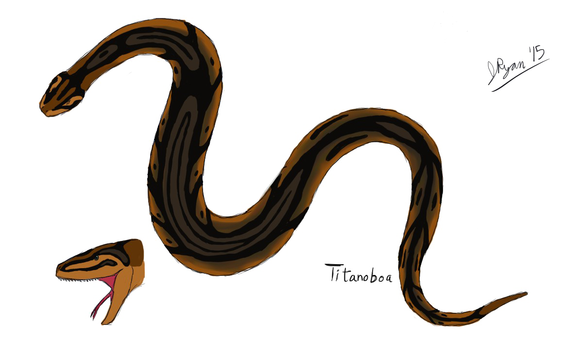 Titanoboa Snake PNG Photo