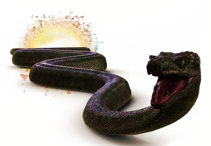 Titanoboa Snake PNG Transparent Image