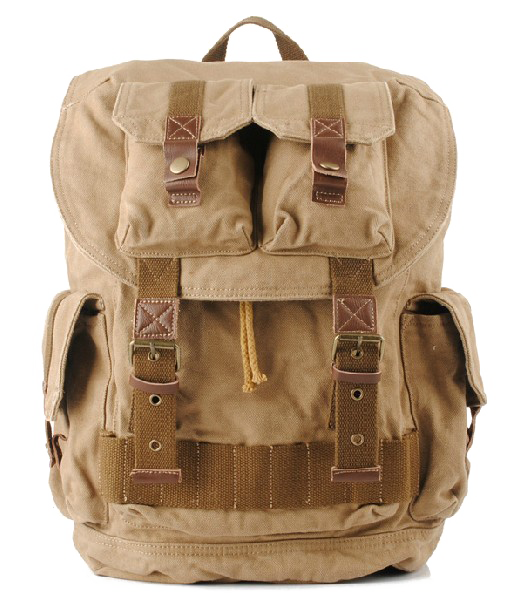Travel Backpack PNG Photo