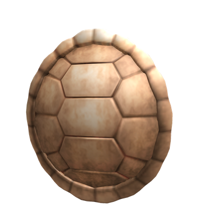 Turtle Out of Shell PNG Image