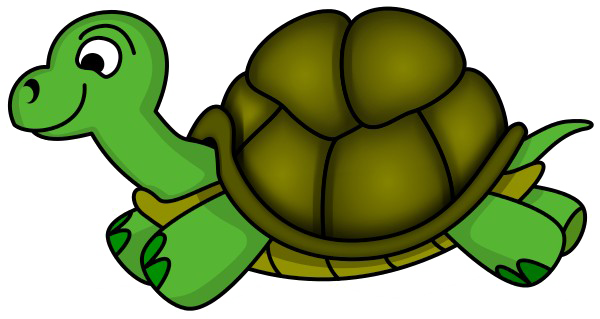 Черепаха прозрачное изображение