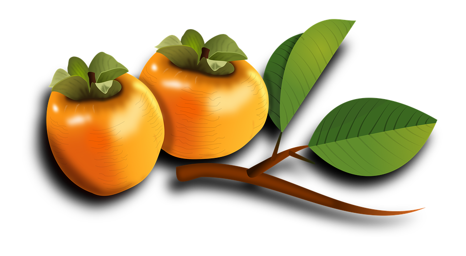 Two Persimmon PNG Download Image