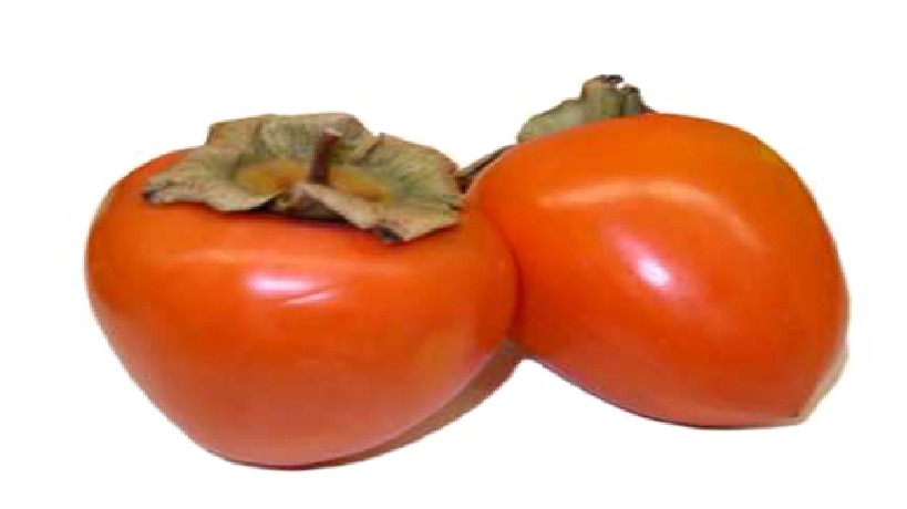 Two Persimmon PNG Free Download