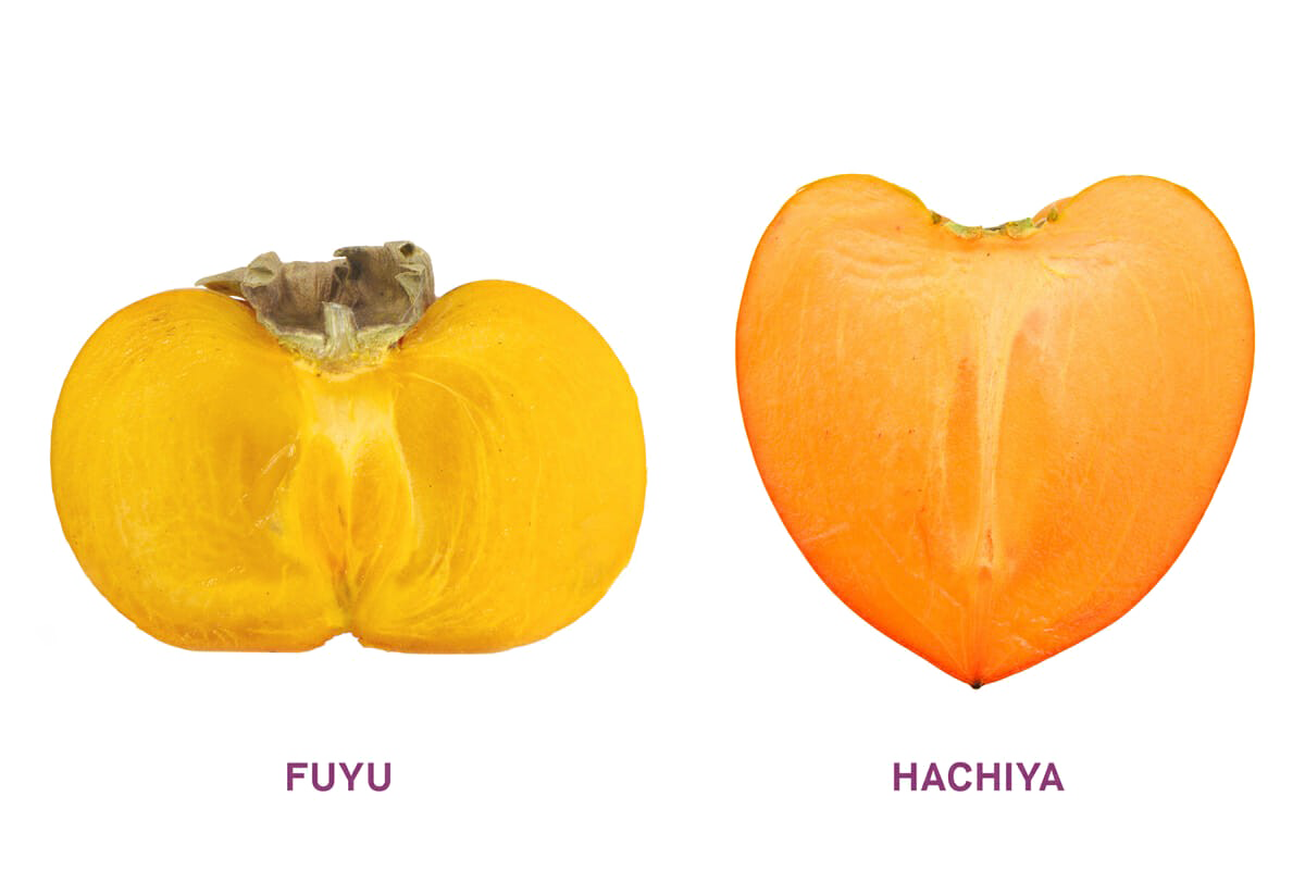 Due immagine PNG Persimmon