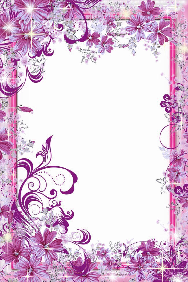 Violet Floral Border PNG Transparent Image