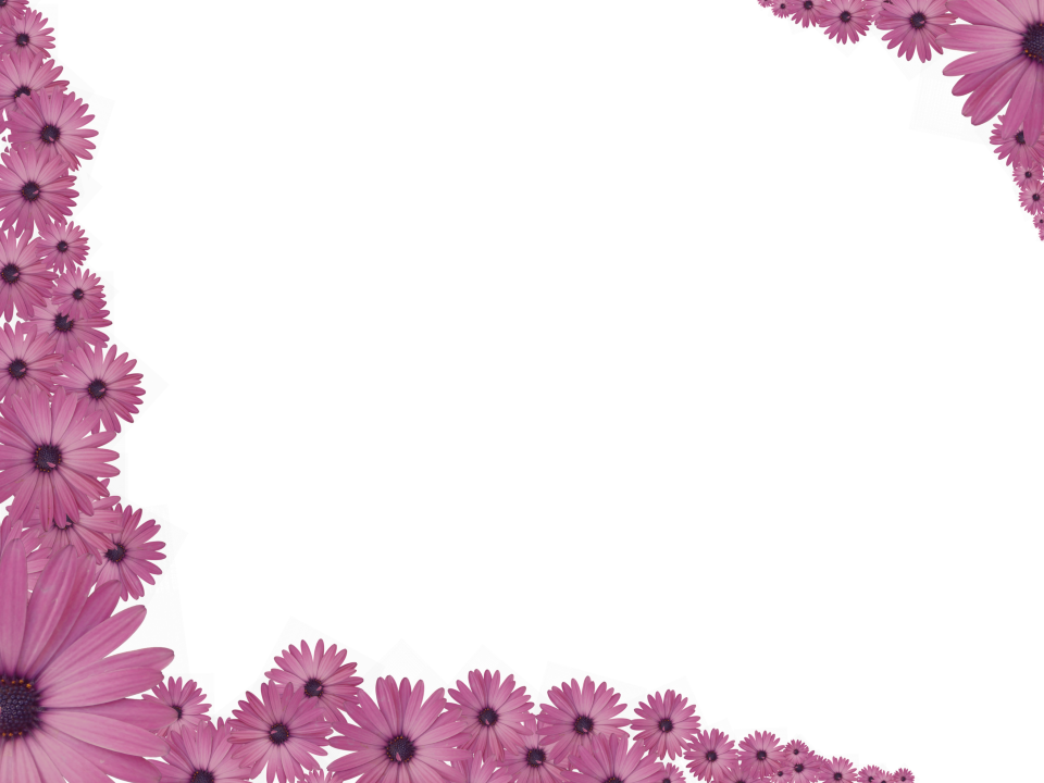 Imagem transparente de fronteira floral violeta