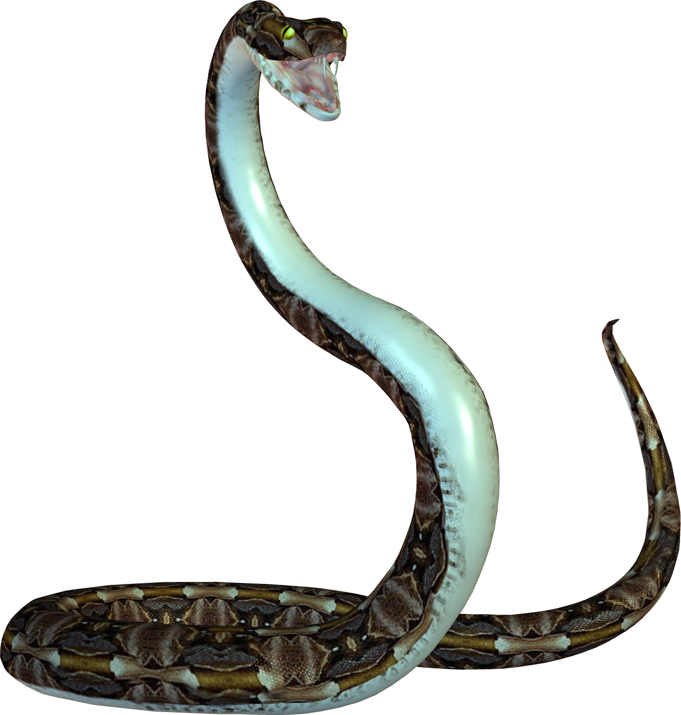 Viper Snake Free PNG Image