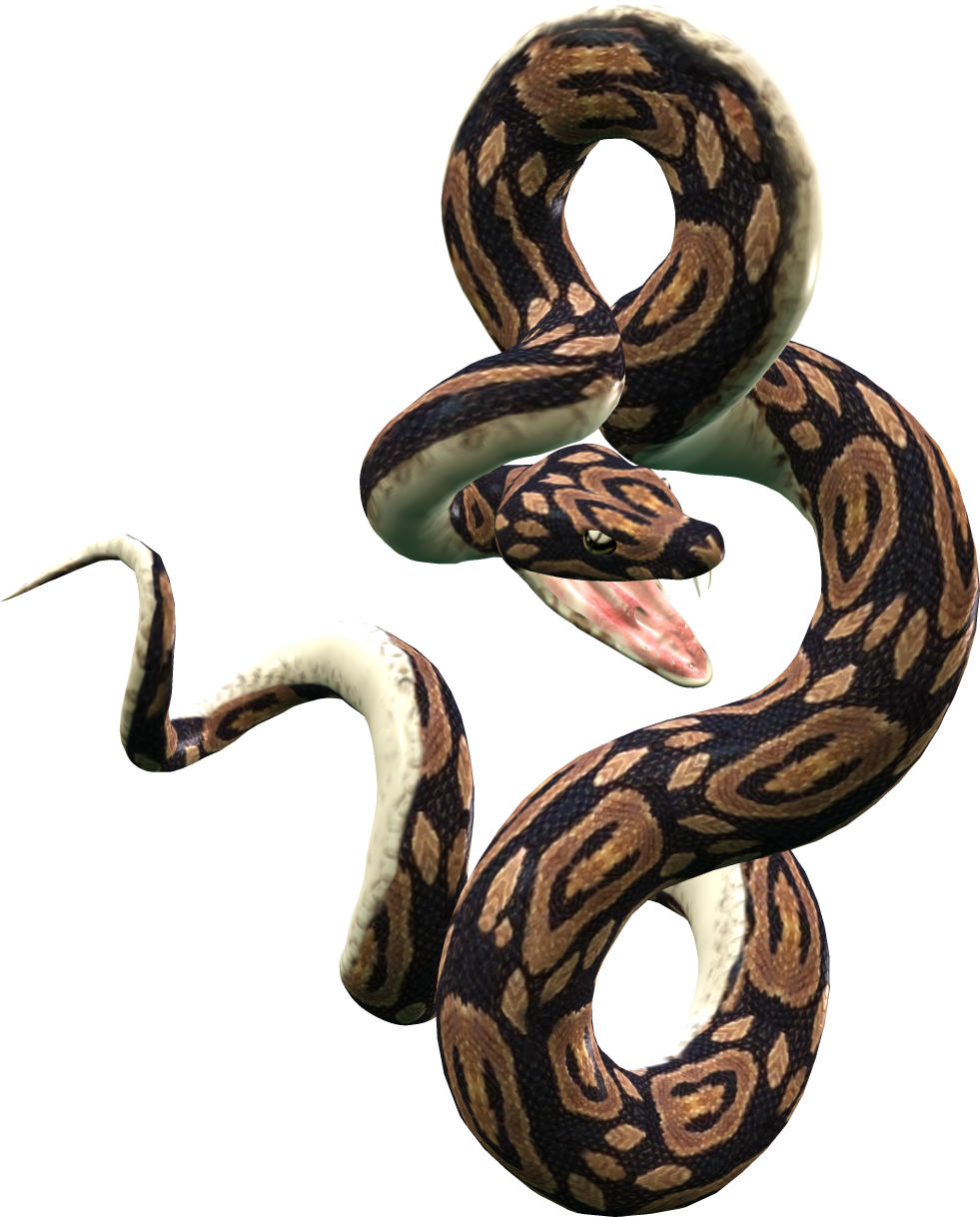 Viper Snake PNG Image