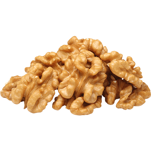 Walnut Without Shell PNG Photo