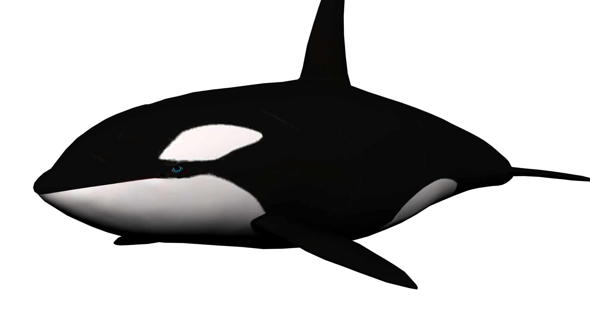 Baleine PNG image