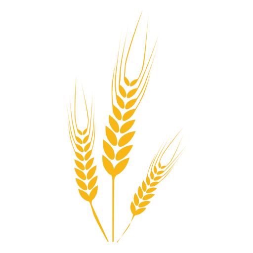 Пшеничное прозрачное изображение