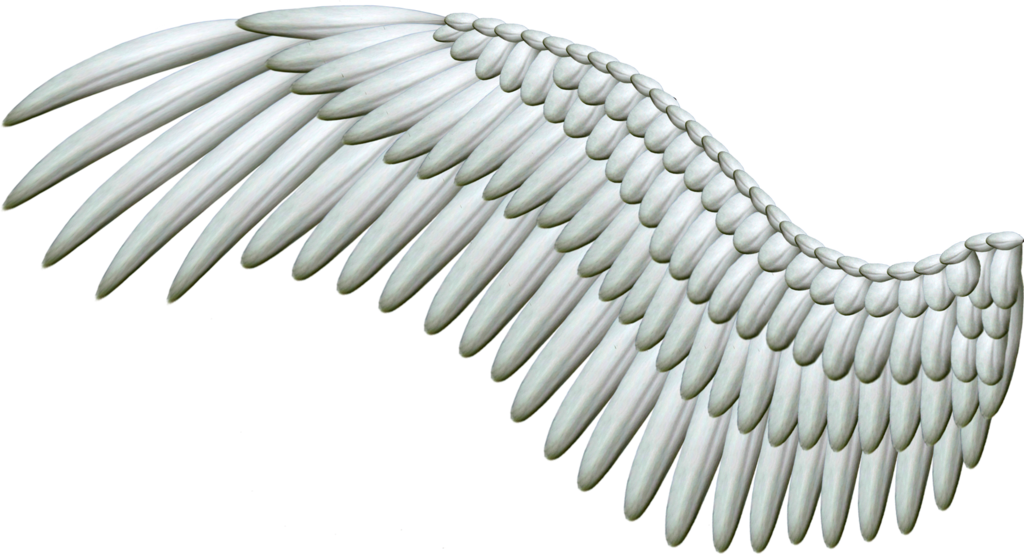 White Angel Wings PNG I-download ang Imahe