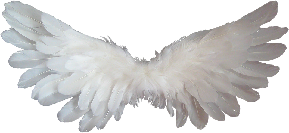 White Angel Wings PNG Mataas na kalidad na Imahe