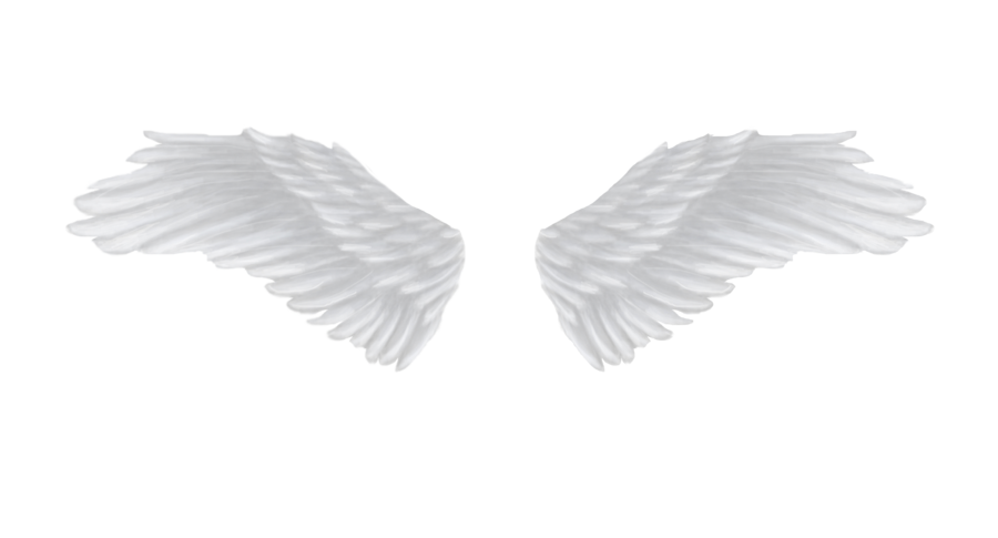 White Angel Wings PNG Background ng Imahe