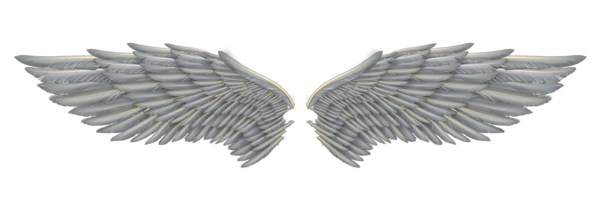 White Angel Wings PNG صورة