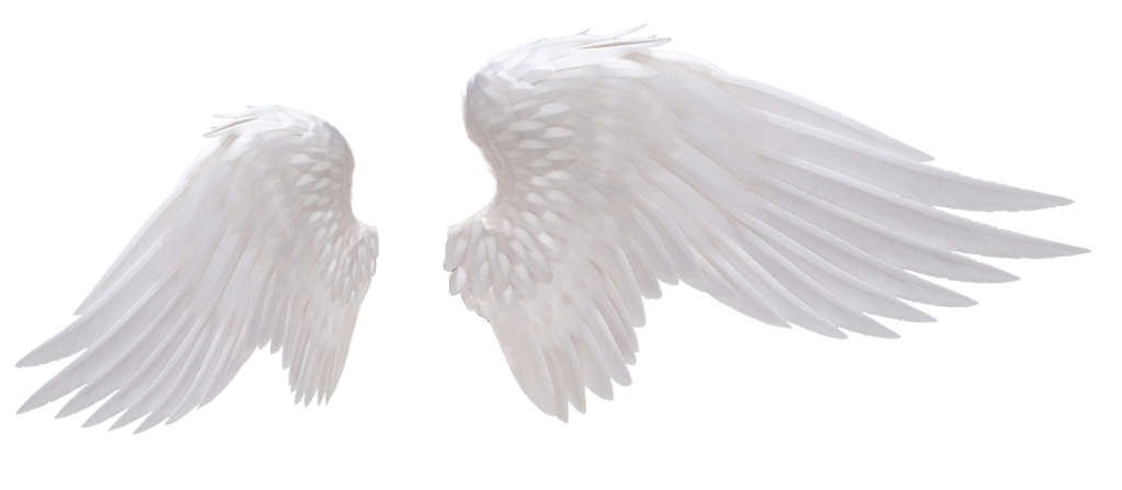 White Angel Wings PNG Photo